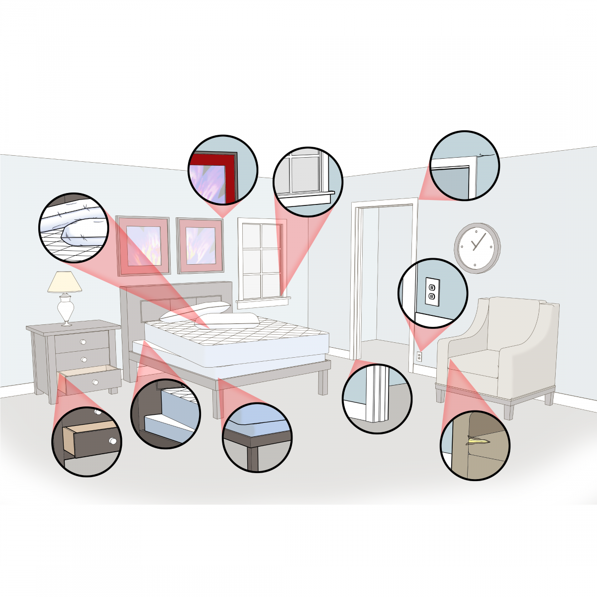 Complete Federal Way bed bug inspection guide