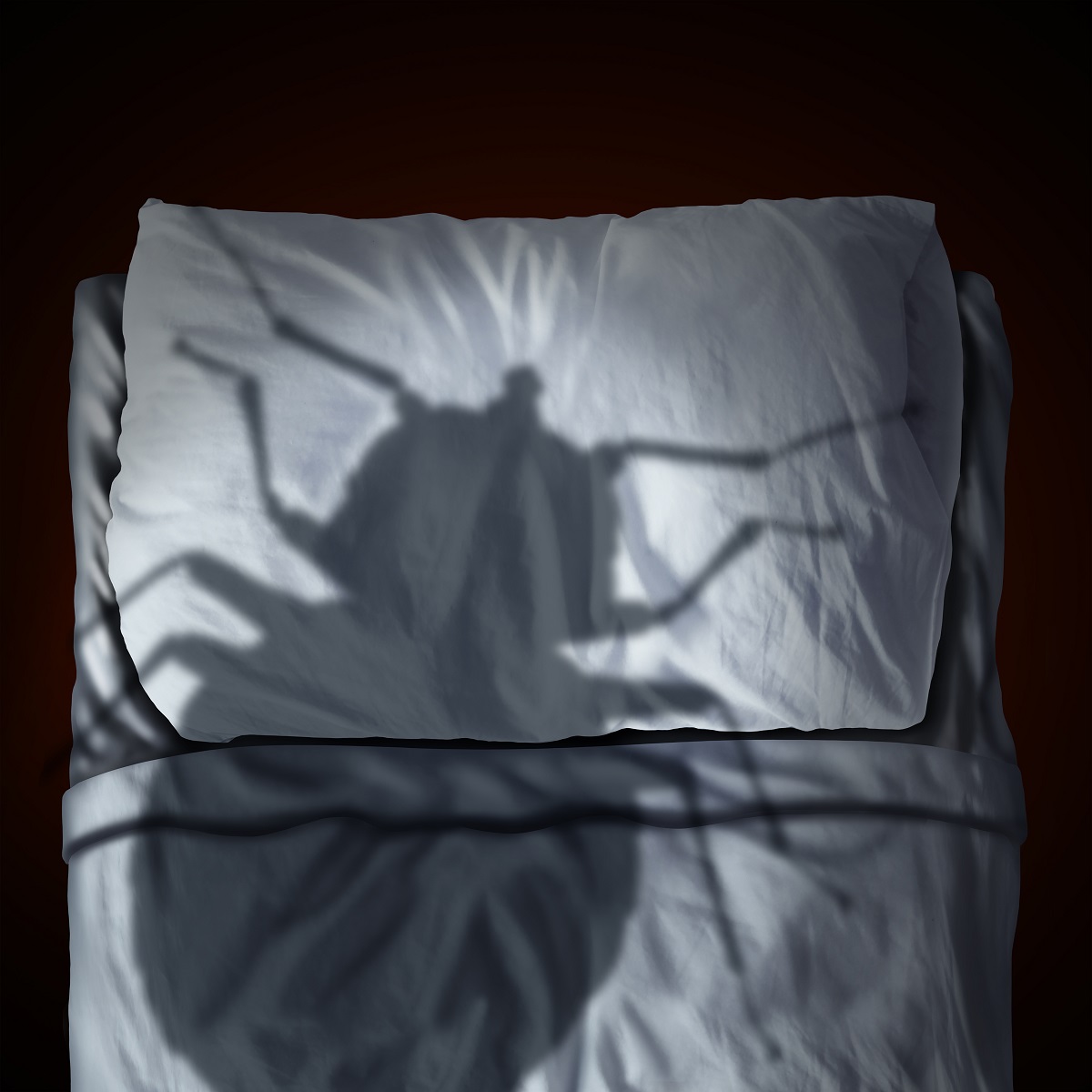 Improve the Quality of Your Sleep, Don't Let Bed Bugs Get in the Way