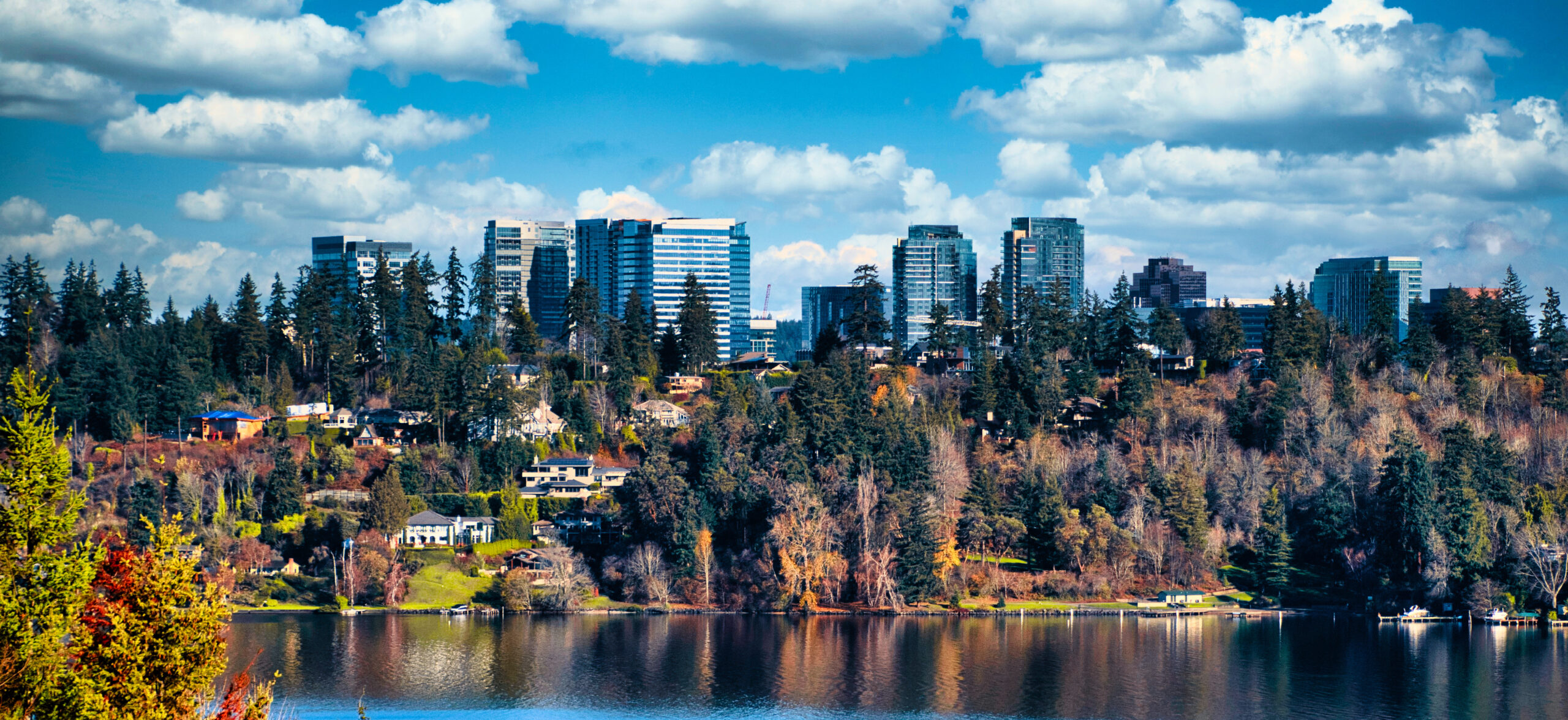 Bed bug treatment Bellevue WA badge - High-risk hotspot with Custom Bedbug serving 10K+ clients