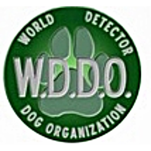 WDDO Trained