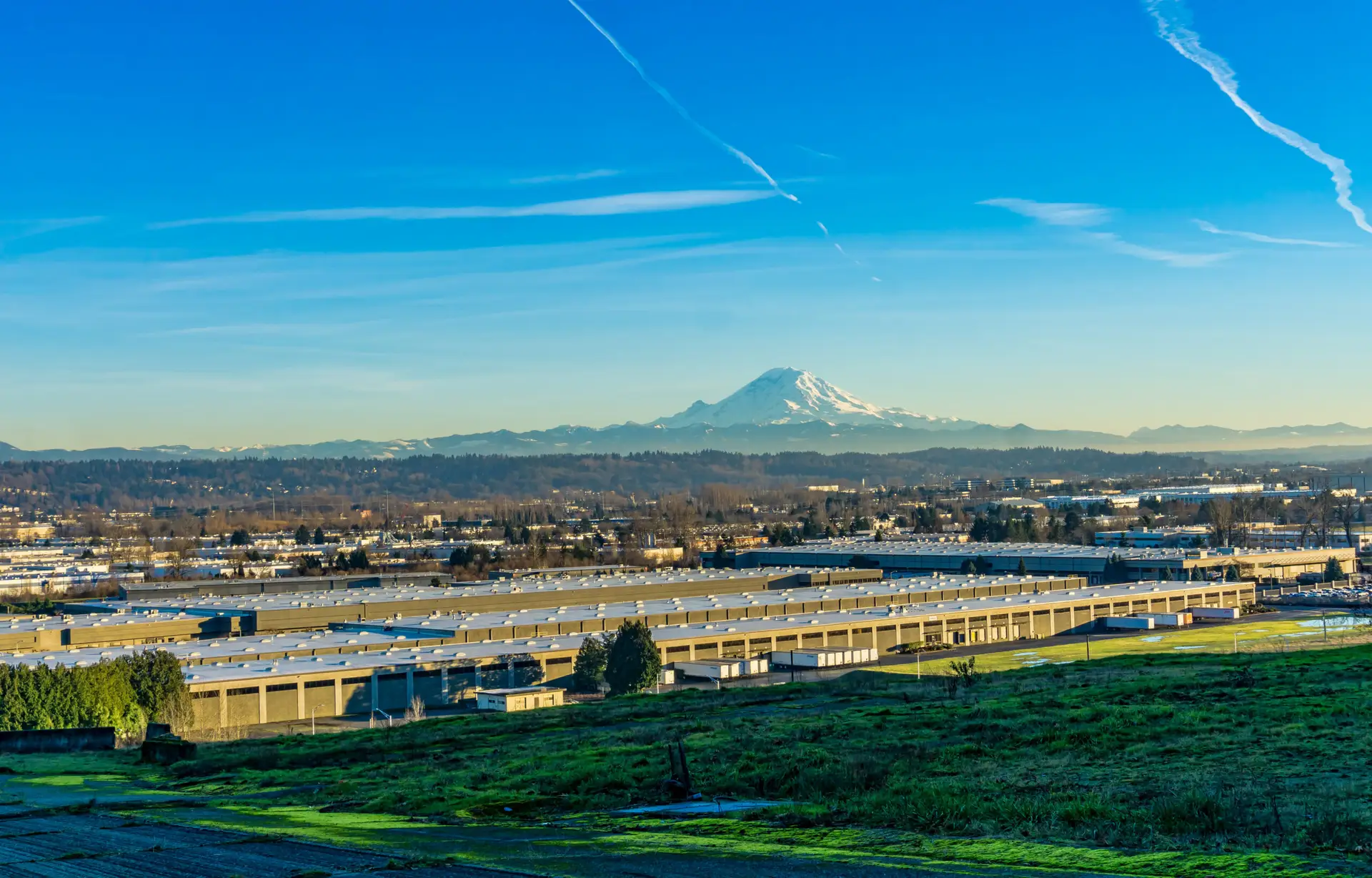Kent Valley with Mount Rainier — bed bug heat treatment in Kent, WA