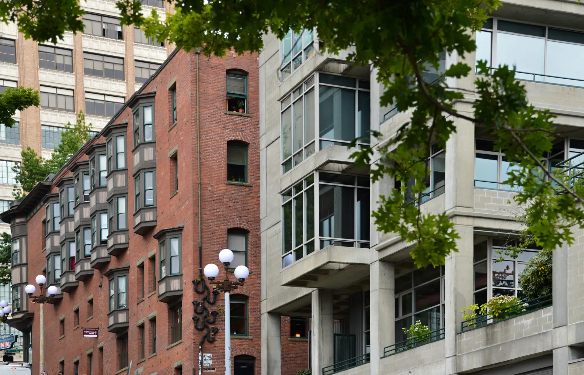 Bed bugs in apartments spread through shared walls in Seattle WA urban housing